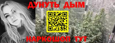 a pvp Бийск