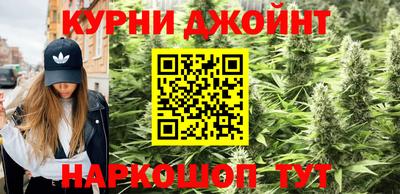 a pvp Бийск