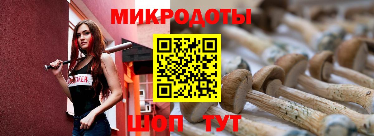 Галлюциногенные грибы мицелий Орёл